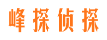 内江市婚外情调查